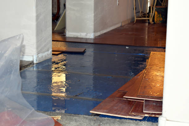 Professional Water Extraction technician working in Goodrich, MI